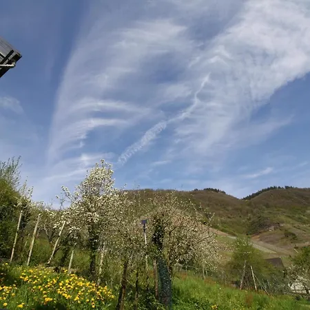 Komfort 74-3 Appartement Bremm