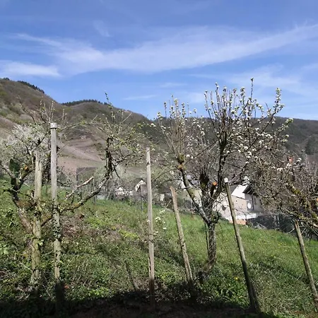 Komfort 74-3 Appartement