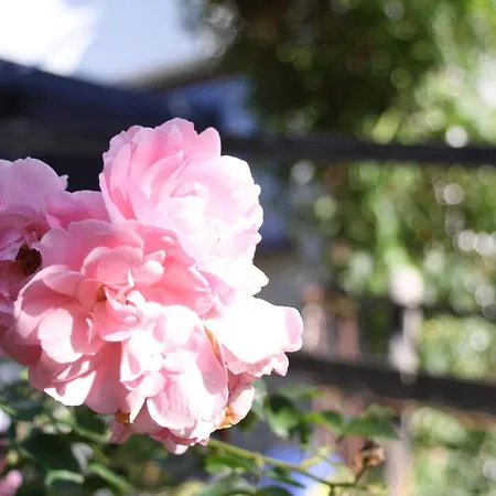 Komfort 74-3 Appartement