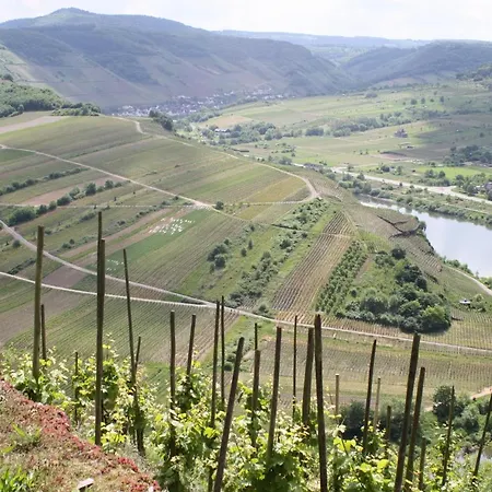 Komfort 74-3 Appartement Bremm