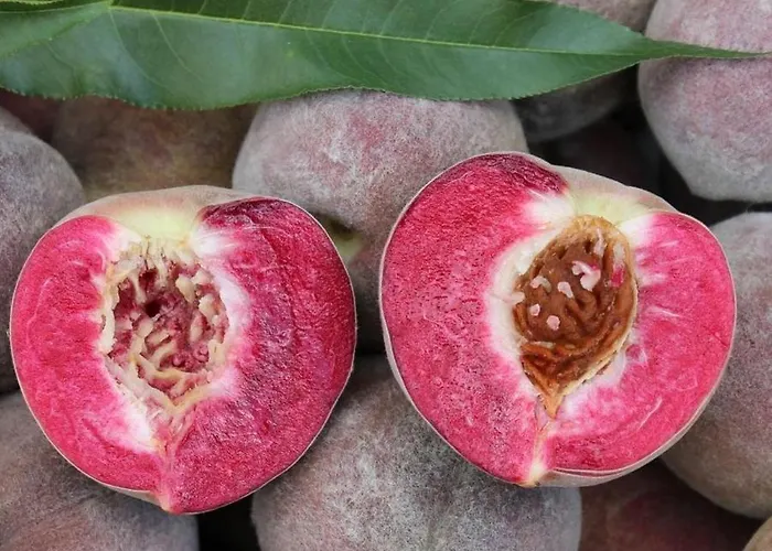 Apartamento Komfort 74-3 *