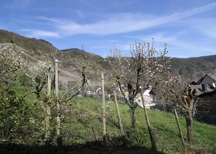 Komfort 74-3 Apartamento