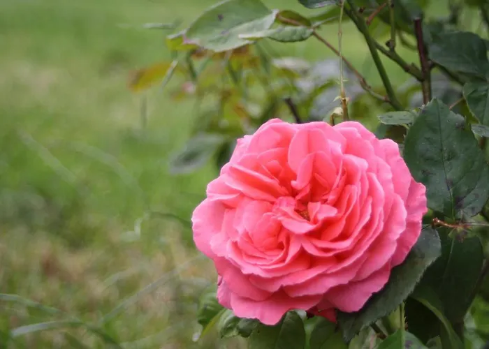 Komfort 74-3 Apartamento Bremm